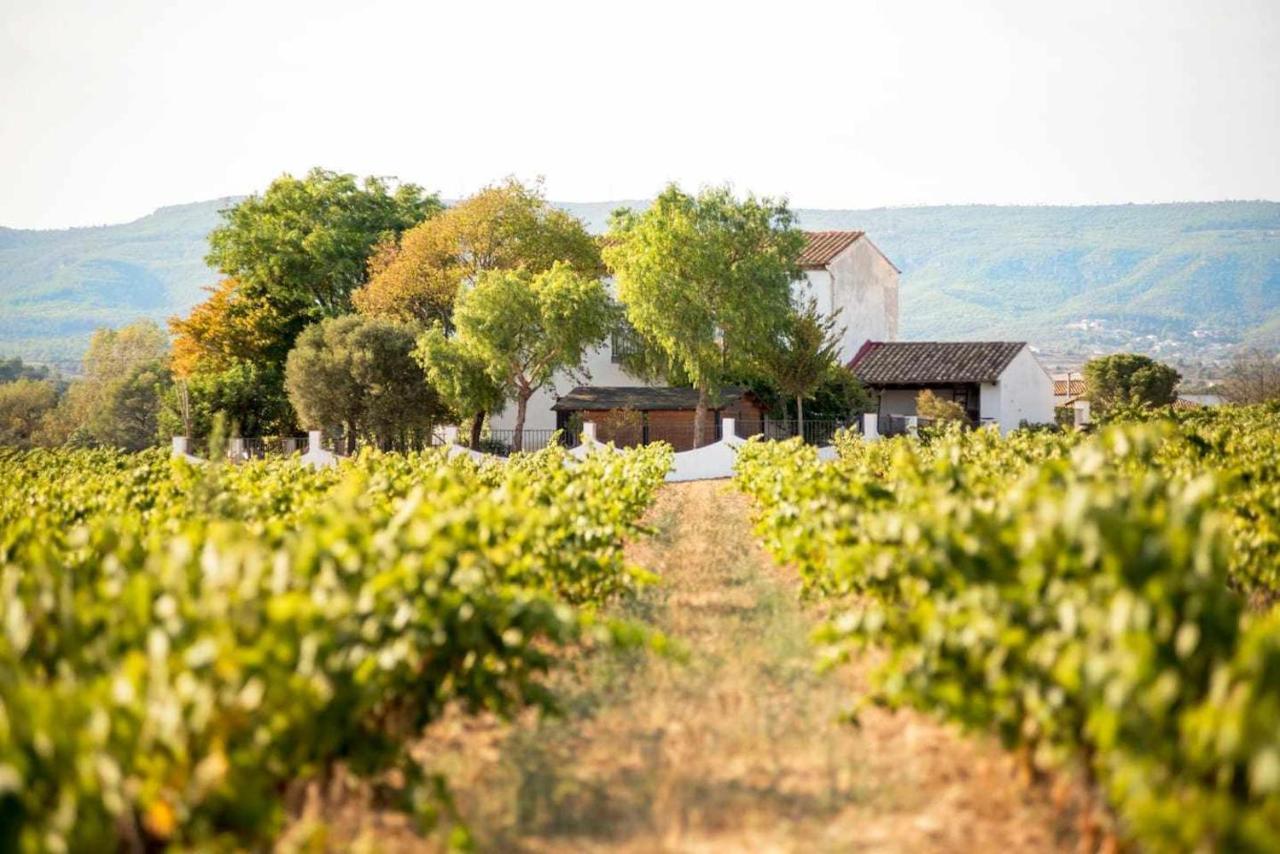 Casa Rural Cal Joli Vilobi Del Penedes